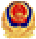 Public security registration badge